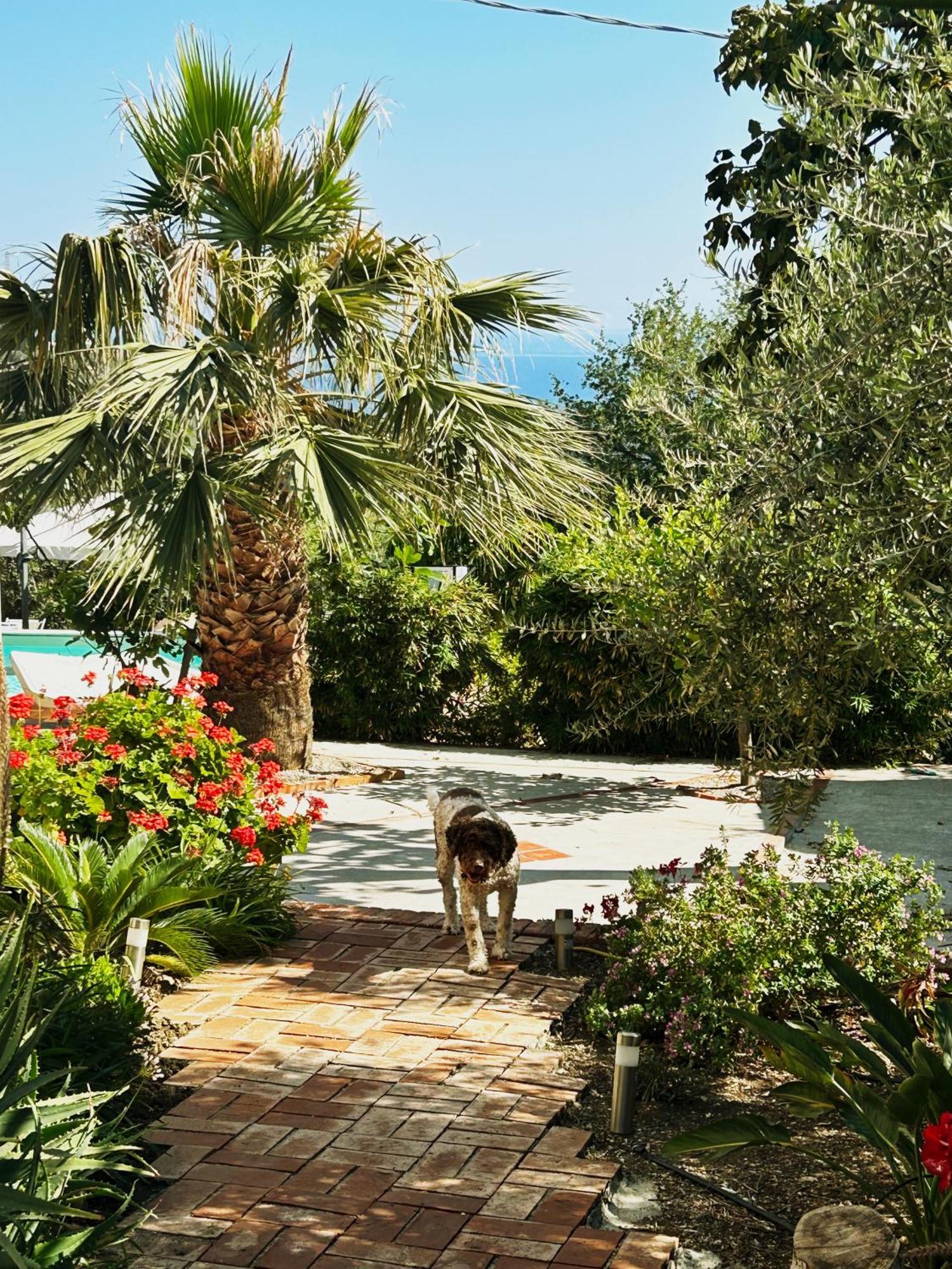 Casa Villea تْرابْيا المظهر الخارجي الصورة